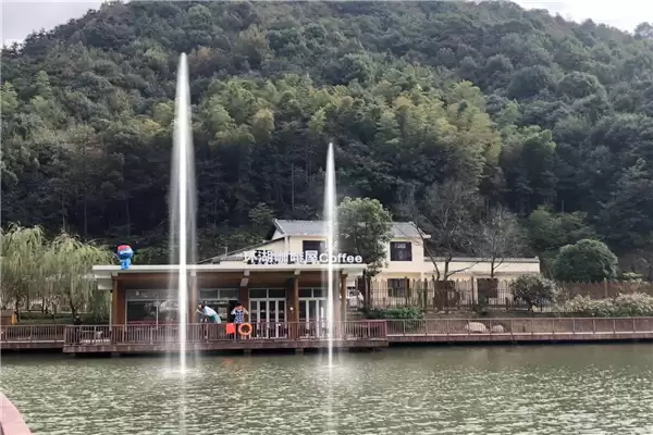 voice control interactive fountain