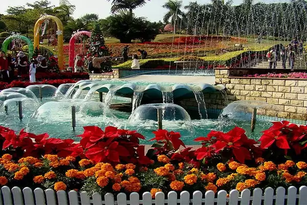 Bico de fonte de cogumelo 2 Jellyfish Nozzle1